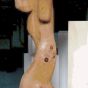 Lidy von Lüttwitz |  Wachsen und Welken, 1983